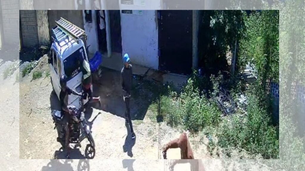 derechos-humanos-exige-intervenir-sde-ante-auge-de-asaltos-y-asesinatos