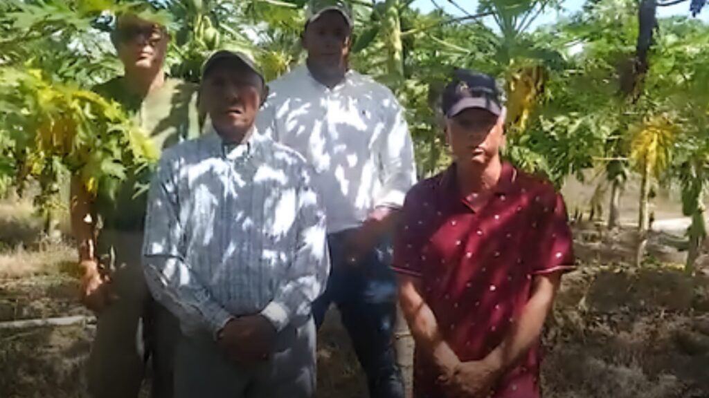 video:-agronomos-en-la-vega-denuncian-supuestos-maltratos-y-reclaman-pensiones-dignas